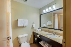 Best Western Plus Walkerton Hotel & Conference Centre - Salle de bain