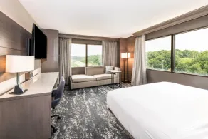 Pittsburgh Airport Marriott - Chambre