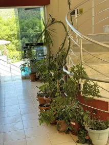 Grand Yazici Hotel Adrasan - Réception
