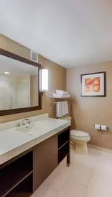 Holiday Inn Express Baltimore West - Catonsville by IHG - Salle de bain
