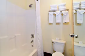 Comfort Inn Troutdale-Portland East - Salle de bain