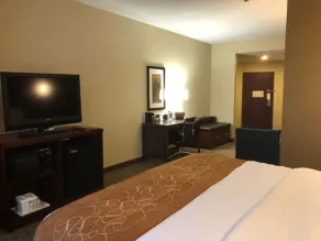 Comfort Suites Forrest City - Vue de la chambre