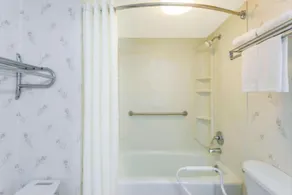 Ashland Studio Inn Richmond North near Kings Dominion -Listing Partner - Salle de bain
