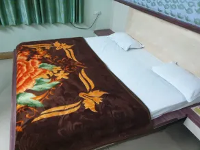 Hotel Mahatma Inn Ajmer - Room