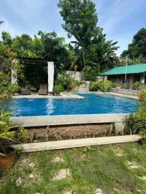 Ted's Bed and Breakfast - Pool