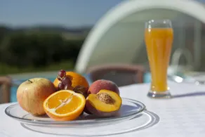 Pension PRIMUS - Ristorante