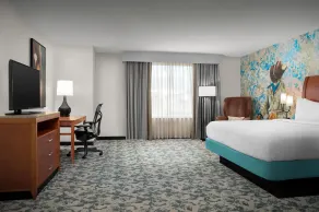 Hilton Garden Inn Fort Worth Medical Center - Chambre