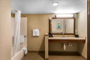 Comfort Inn Bay City - Riverfront - Salle de bain