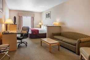 Comfort Inn & Suites Airport Convention Center - Chambre
