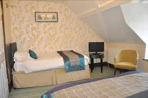 Llety Teifi Guest House - Chambre