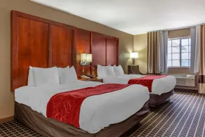 Comfort Suites Delavan - Lake Geneva Area - Chambre