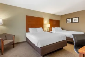 Comfort Inn & Suites Charleston Airport Convention Center - Rum