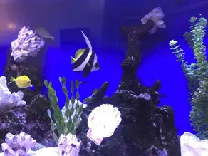 Ala Mar by the Sea - Réception
