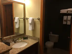 The Black Swan Lee - Lenox, an Ascend Collection Hotel - Bagno