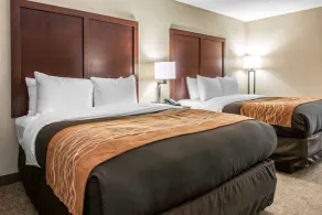 Comfort Inn Blue Ash North - Room