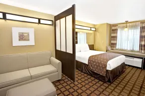 Microtel Inn & Suites by Wyndham Cartersville - Chambre