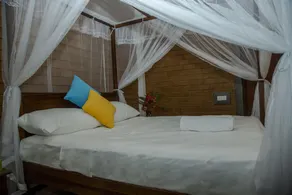 Brown House - Room
