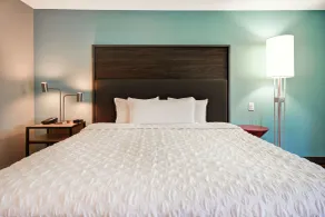 Tru by Hilton Wytheville - Chambre