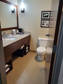 Comfort Suites Little Rock West - Salle de bain