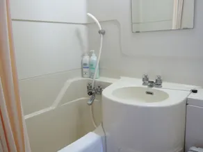 Toyohashi Station Hotel - Salle de bain