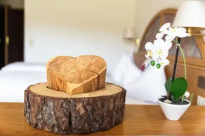 Berghotel Schauinsland - Quarto