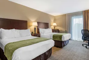 Comfort Inn Lansing West - Chambre