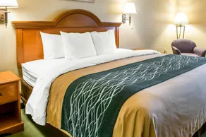 Comfort Inn & Suites Las Cruces Mesilla - Chambre