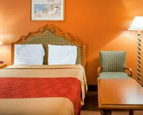 Econo Lodge Hobbs - Chambre