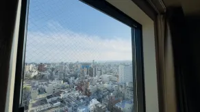 Daiwa Roynet Hotel Kagoshima Tenmonkan PREMIER - former Daiwa Roynet Hotel Kagoshima Tenmonkan - Udsigt fra værelset