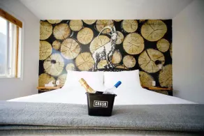 Crash Hotel Squamish - Chambre