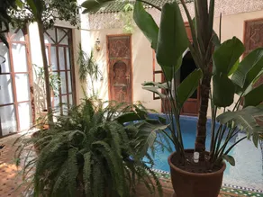 Riad Belle Epoque - Piscina
