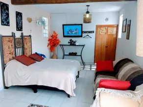 Hotel Posada Spa Antigua Casa Hogar - Chambre