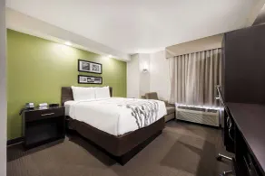 Sleep Inn Athens I-65 - Chambre