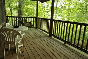 Forrest Hills Mountain Resort - Vue de la chambre
