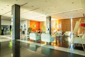 VIP Executive Santa Iria Hotel - Réception