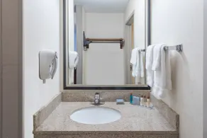 Wingate by Wyndham Shreveport Airport - Bathroom