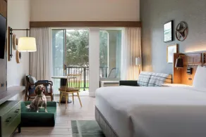 Sol Cypress, San Antonio, a Tribute Portfolio Hotel - Chambre