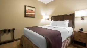 Bluegreen Vacations Odyssey Dells Resort - Chambre