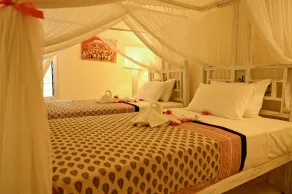 Lions Eco Resort & Spa - Room