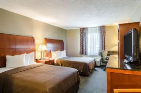 Quality Inn Chicopee-Springfield - Chambre
