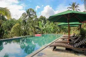 Mina Baturiti Hotel & Resto - Pool