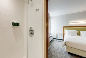 SpringHill Suites by Marriott Houston The Woodlands - Chambre