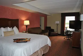 Hampton Inn College Park - Chambre