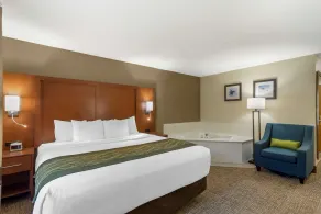 Comfort Inn & Suites - near Robins Air Force Base Main Gate - Chambre
