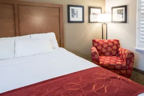 Comfort Suites Fresno River Park - Chambre