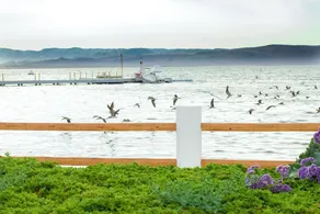 Hotel Paracas, a Luxury Collection Resort, Paracas - Room