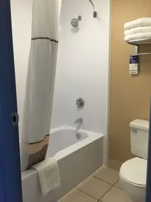 Best Western Plus Reading Inn & Suites - Salle de bain