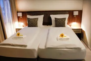 Anor Hotel & Conference Center Frankfurt Airport - Room
