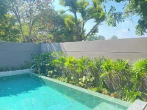 Triple Tree Beach Resort - Vue de la chambre