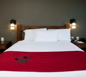 Great Wolf Lodge Bloomington - Room